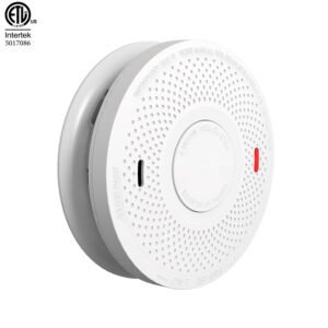 Standalone Smoke Alarm